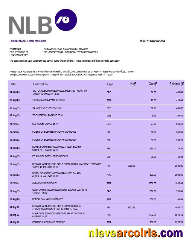 NLB Bank firm account statement